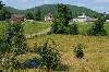 A view of the Shaker Village.