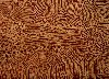 Abstract imagery, Gallery Brisbane