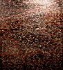Variation on billowing grass, Gallery Brisbane