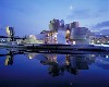 Frank Gehry designed the Guggenheim Bilbao.
