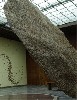 This enormous cardboard sculpture by Henry Klimowicz dominates the Crane Gallery.