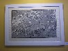 ’Branches’ by Bill Guild with lights reflecting in the glass frame.