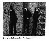They searched the cellar fruitlessly by Edward Gorey
