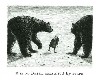 "B" is for Basil Assulted by Bears by Edward Gorey