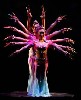 Chinese Acrobats.