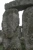 A Study in Moss, Stone and Sky.