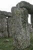 Ancient Sentinels