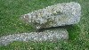 Recumbent Moss and Stone