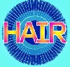 Hair today gone tomorrow.