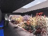 Concept for Central Garden for 2011 Serpentine Gallery Pavilion by Peter Zumthor, image by Peter Zumthor