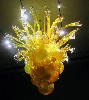 Explosion of color and light.