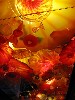 Glass Ceiling.