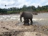 Enjoying the shallow waters of Ma Oya River