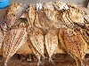 Dry fish at the market