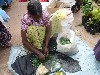 Chopping and packaging herbs by hand 