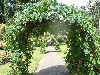 Arborway at Botanical Gardens