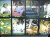 Journey of tea from picking to packaging
