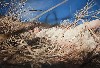 From the exhibition Garden of the Gods.