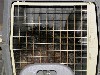 Caged and ready for a drive back to its habitat.