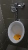 Reproduction of  Fountain signed "R. Mutt" by Marcel Duchamp, functional urinal, photo by Mark Favermann