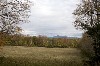 A view  from Arrowhead  that inspired Melville when writing Moby Dick by Canavino.
