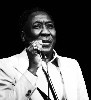 Chicago blues giant Muddy Waters.
