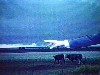 Harvard Film Archives: George Kuchar Weather Diaries