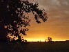 Harvard Film Archives: George Kuchar Weather Diaries