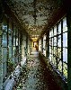 Wilkes’ images of Ellis Island helped preserve its buildings and history.