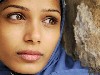 Museum of Fine Arts: Miral