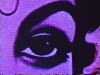 Harvard Film Archives: Everything is Visible