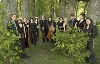Goethe Institute Boston: Chameleon Arts  Ensemble