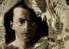 Museum of Fine Arts Film: Savage Memory 