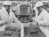 Harvard Film Archives: Meat