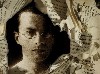 Museum of Fine Arts: Savage Memory