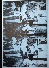 Andy Warhol, Death and Disaster series 