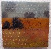 A collaged work by Debi Pendell.