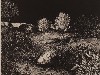 Landscapes are wrested from chaos in Stein&rsquo;s prints.