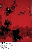 PH 385, 1949  I thought of vultures over the red earth.
