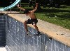 Museum of Fine Arts: Wasted Youth