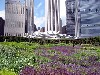 Lurie Garden is a 2.5-acre  public garden located at the southern end of Millennium Park. It was designed by Kathryn Gustafson, Piet Oudolf, and Robert Israel,
