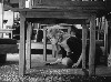 Harvard Film Archives: The Truth (La Vérité)