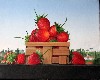 Strawberries. 
