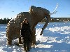 Whitehorse.