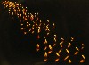 Flame Orchard by Kepes and Earls