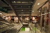 New Central Grand Staircase With A View of Research Library Shelves. Photo: @Nic Lehoux/Renzo Piano Building Workshop.