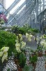New Greenhouse Interior. Photo: M. Favermann, 2012.