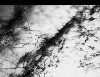Harvard Film Archives: Silent Mountains, Singing Oceans, and Slivers of Time