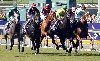 Something about horse races.