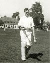 Young Edwin at Cricket